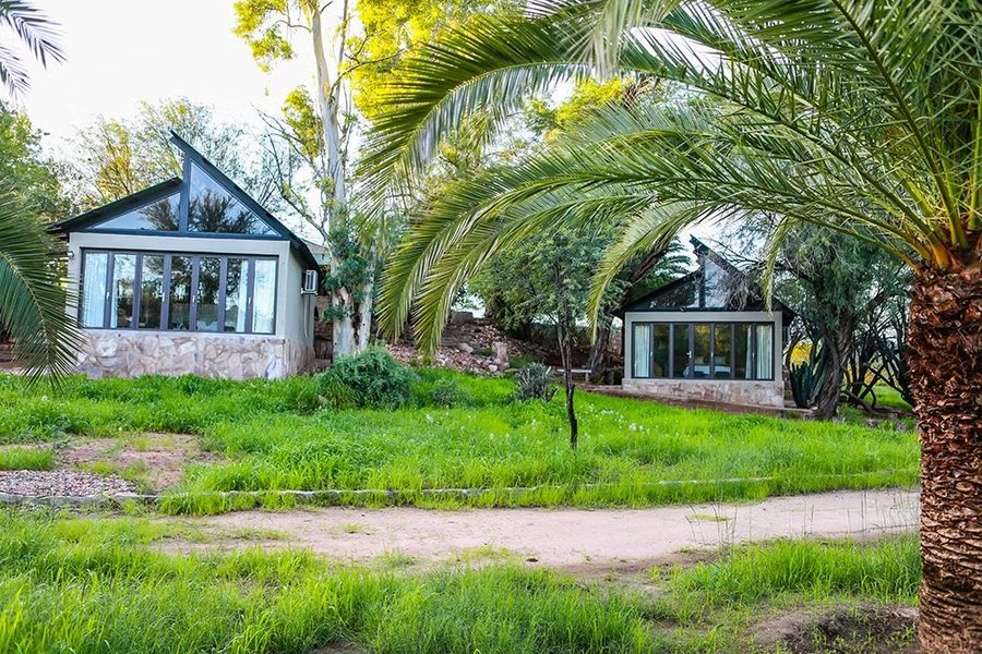 The cottages among palms and green lawns on a sunny day