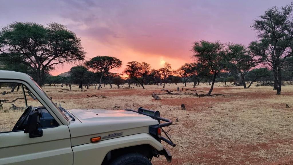 The game-drive vehicle under a pink evening sky