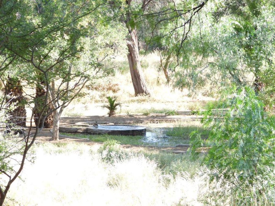 The waterhole in front of the cottages