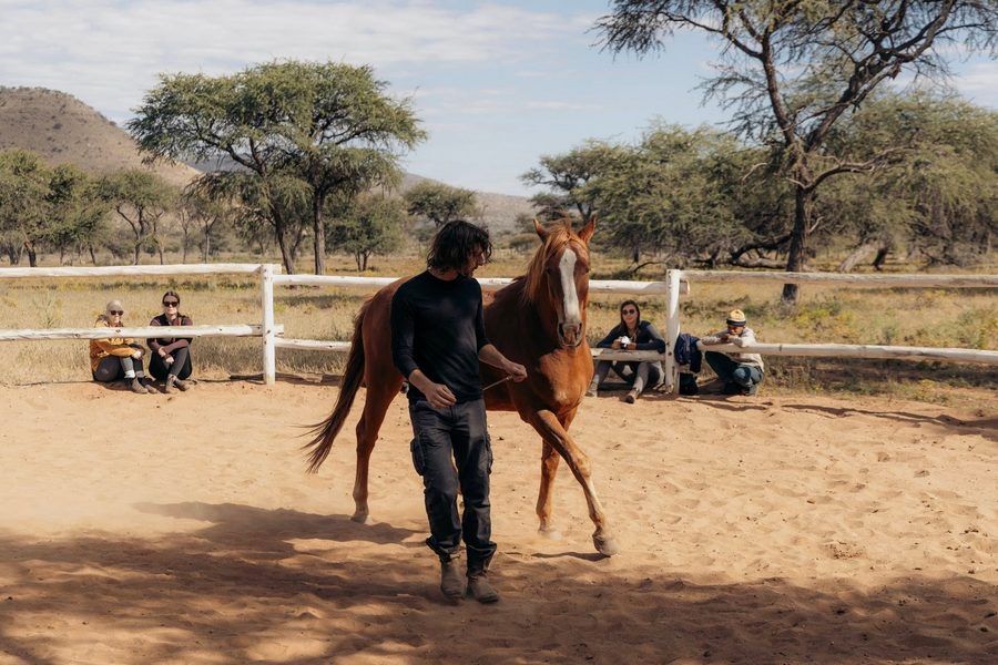 Liberty training in the round pen