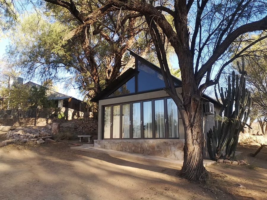 A cottage beneath an old camelthorn tree in the late afternoon light