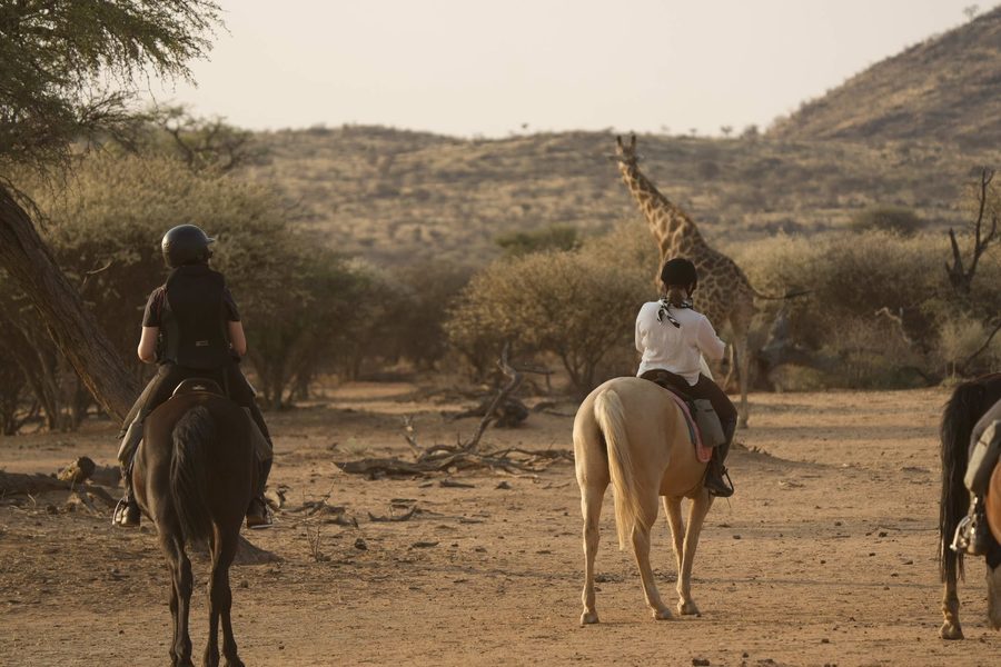 Two riders passing a giraffe in the bush
