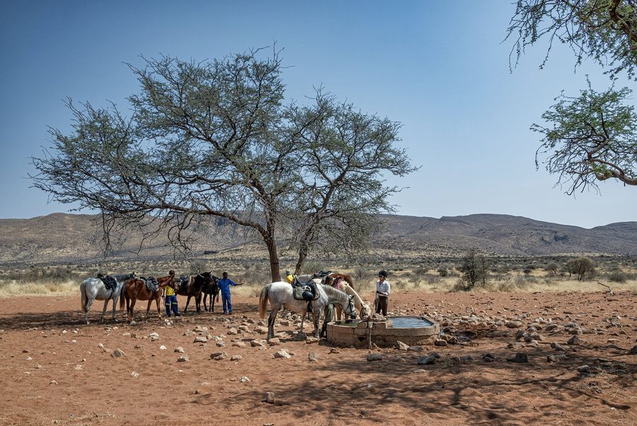 Horses and riders resting beneath a camelthorn tree at the water trough