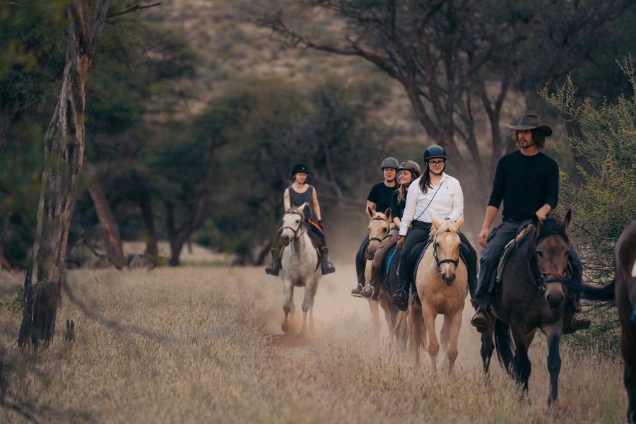 A small group of riders cantering through the bush